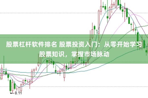 股票杠杆软件排名 股票投资入门：从零开始学习股票知识，掌握市场脉动
