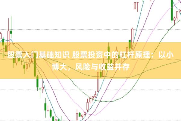 股票入门基础知识 股票投资中的杠杆原理：以小博大，风险与收益并存