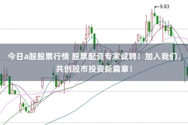 今日a股股票行情 股票配资专家诚聘！加入我们，共创股市投资新篇章！