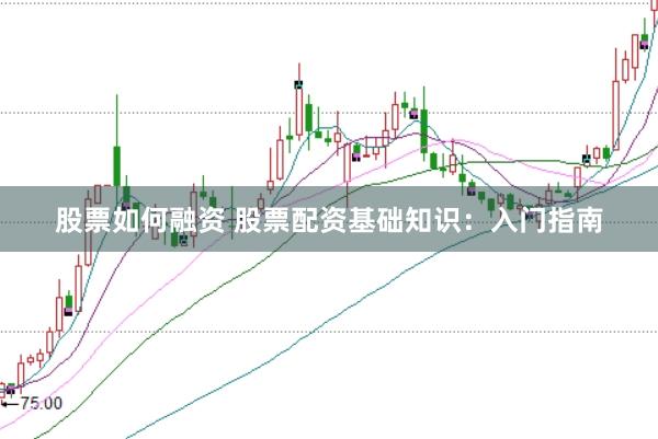 股票如何融资 股票配资基础知识：入门指南