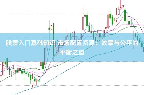 股票入门基础知识 市场配置资源：效率与公平的平衡之道