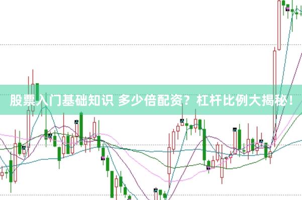 股票入门基础知识 多少倍配资？杠杆比例大揭秘！