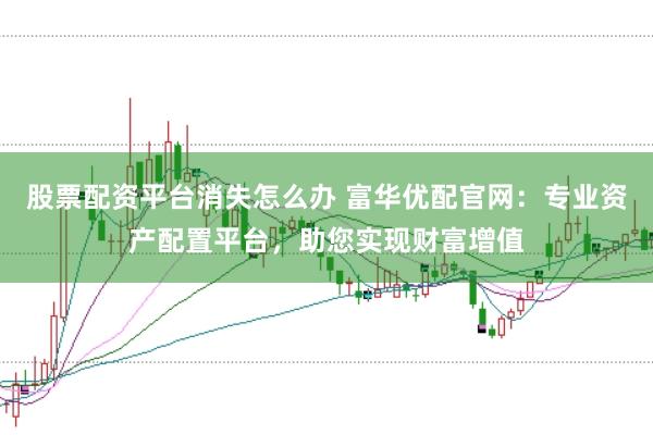 股票配资平台消失怎么办 富华优配官网：专业资产配置平台，助您实现财富增值