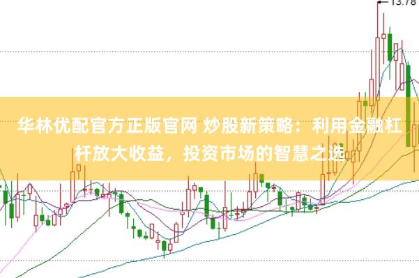 华林优配官方正版官网 炒股新策略：利用金融杠杆放大收益，投资市场的智慧之选
