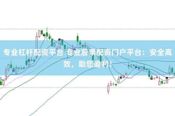 专业杠杆配资平台 专业股票配资门户平台：安全高效，助您盈利！