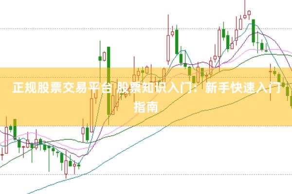 正规股票交易平台 股票知识入门：新手快速入门指南