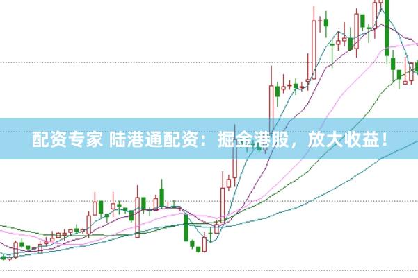 配资专家 陆港通配资：掘金港股，放大收益！