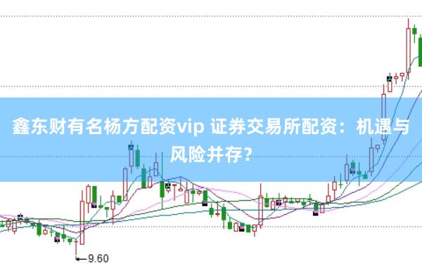 鑫东财有名杨方配资vip 证券交易所配资：机遇与风险并存？