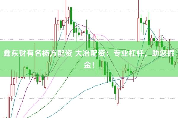 鑫东财有名杨方配资 大冶配资：专业杠杆，助您掘金！