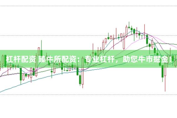 杠杆配资 臻牛所配资:专业杠杆,助您牛市掘金!