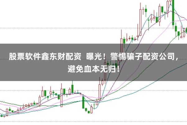 股票软件鑫东财配资  曝光！警惕骗子配资公司，避免血本无归！