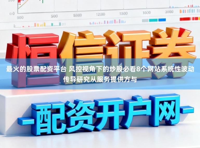 最火的股票配资平台 风控视角下的炒股必看8个网站系统性波动传导研究从服务提供方与