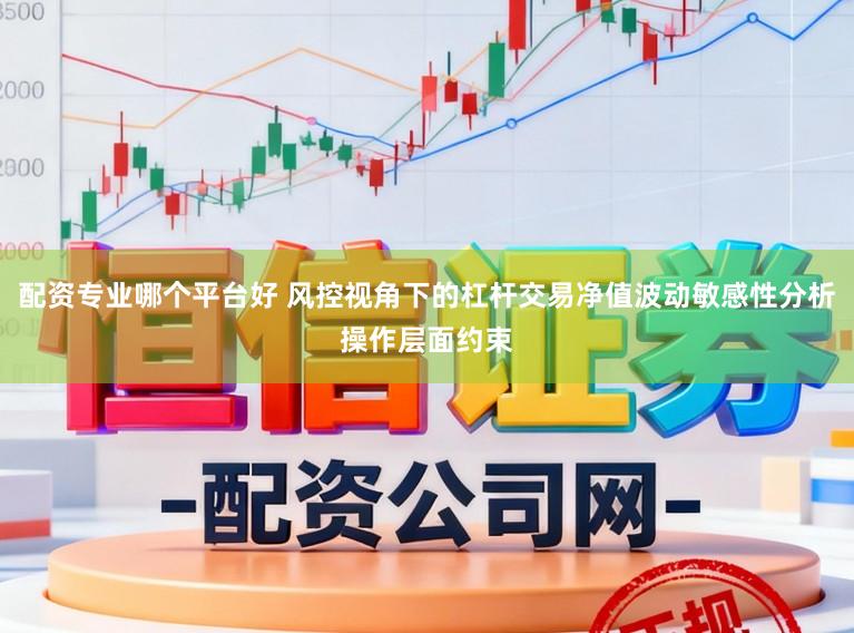 配资专业哪个平台好 风控视角下的杠杆交易净值波动敏感性分析操作层面约束